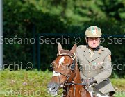 Guarducci Tea Rose GioCav2013 S5 1336 : Campionati Italiani Giovani Cavalli, Cattolica, Guarducci Francesco, Tea Rose, ph Stefano Secchi ©